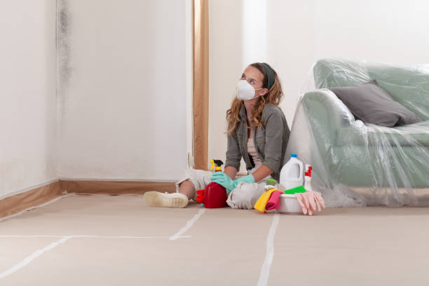 Reliable Mold Inspection contractor in Harleysville, PA by WQB Mold Removal